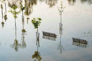 IL SEGNO DELL'ACQUA: in mostra a Palazzo San Giacomo le testimonianze dell'alluvione